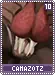 camazotz10