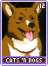 catsndogs12
