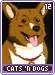 catsndogs12