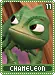 chameleon11