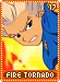 firetornado17