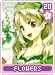 flowers20