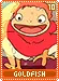goldfish10
