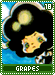 grapes18