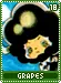 grapes18