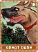 greatdane18
