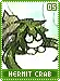 hermitcrab05