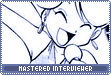 mastered interviewer