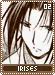 irises02
