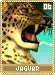 jaguar06