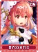 myosotis05