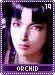 orchid19