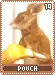 pouch19
