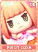 prismcase06