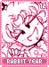 rabbityear12