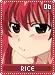 rice06