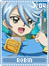 robin04