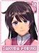 sakurafubuki12