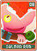 salmonrun08