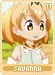 savanna11