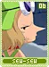 sew-sew06