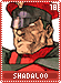 shadaloo18