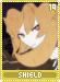 shield19
