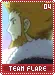 teamflare04