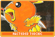 mastered torchic