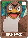wildduck20